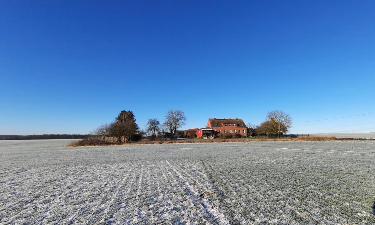 Vierseitenhof Hasenfelde - Ferienwohnung Feldblick Steinhofel Exterior foto